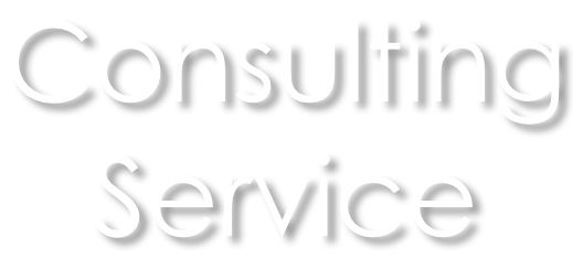 Consulting Service